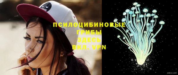 круглые Богородицк