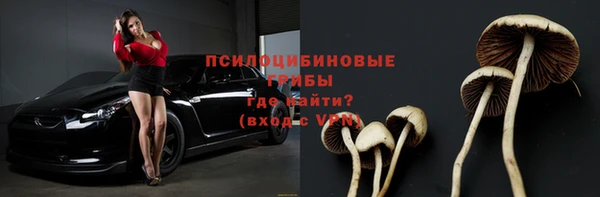 дживик Богданович