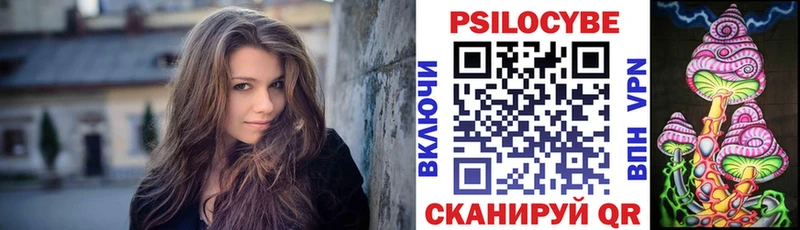darknet наркотические препараты  Менделеевск  Галлюциногенные грибы мицелий 